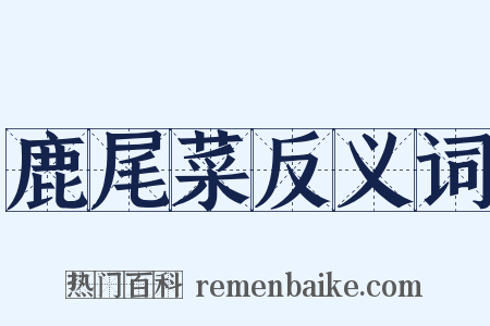 鹿尾菜反义词是什么意思的图片